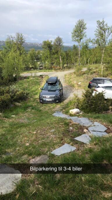 Koselig Familiehytte Pa Vakre Dagali - Naer Geilo Bagian luar foto