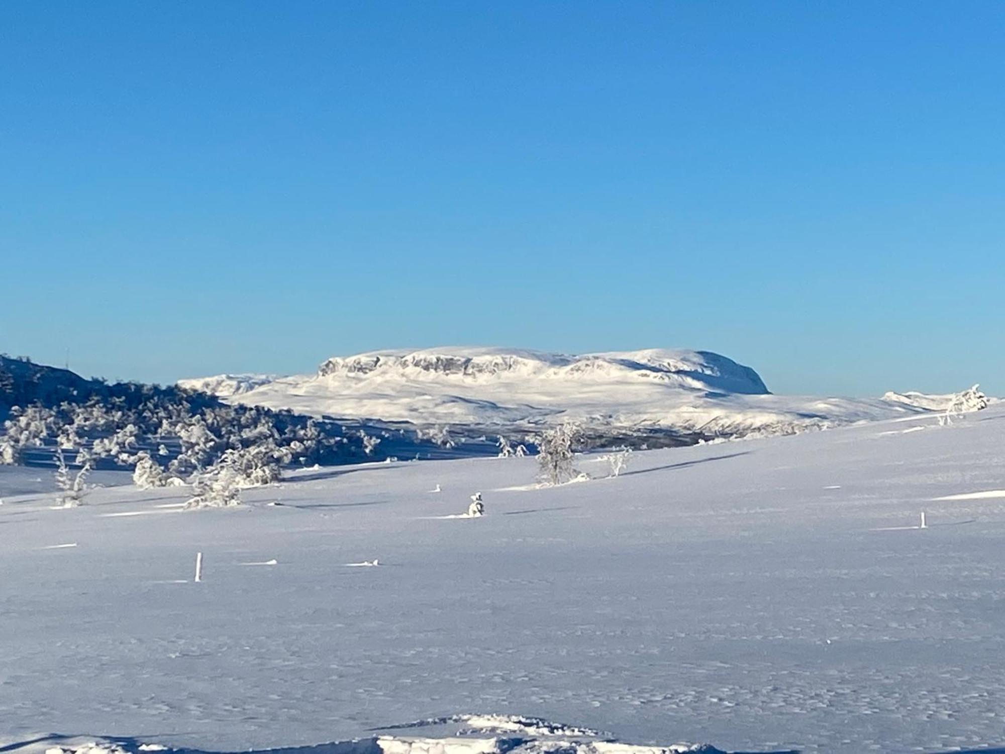 Koselig Familiehytte Pa Vakre Dagali - Naer Geilo Bagian luar foto